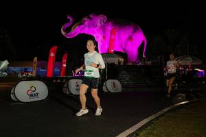 BIB: 
                            <button type="button" onclick="openModal(26535294)" class="btn btn-primary btn-sm float-right btn-popup" data-toggle="modal" data-target=".modal-high-quality">
                        <i class="fas fa-shopping-cart"></i> Add to Cart
                    </button>
                                            <button type="button" onclick="isThisMe(26535294, true)" class="btn btn-success btn-sm float-right btn-popup btn-isme hidden" data-toggle="tooltip" data-placement="bottom" title="นี่คือรูปของคุณใช่ไหม คลิกที่นี่เพื่อเอาเข้าอัลบั้ม">
                        <i class="fas fa-plus"></i> Add to album
                    </button>
                    <button type="button" onclick="isThisMe(26535294, false)" class="btn btn-warning btn-sm float-right btn-popup btn-isnotme hidden">
                        <i class="fas fa-ban"></i> Remove from album
                    </button>